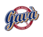 M. V. Gava
