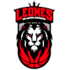 Leones de Santo Domingo